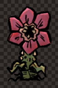 creature carnivorous plant front